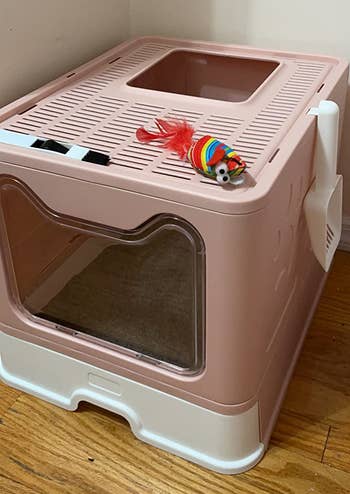 the pink litter box with a top exit