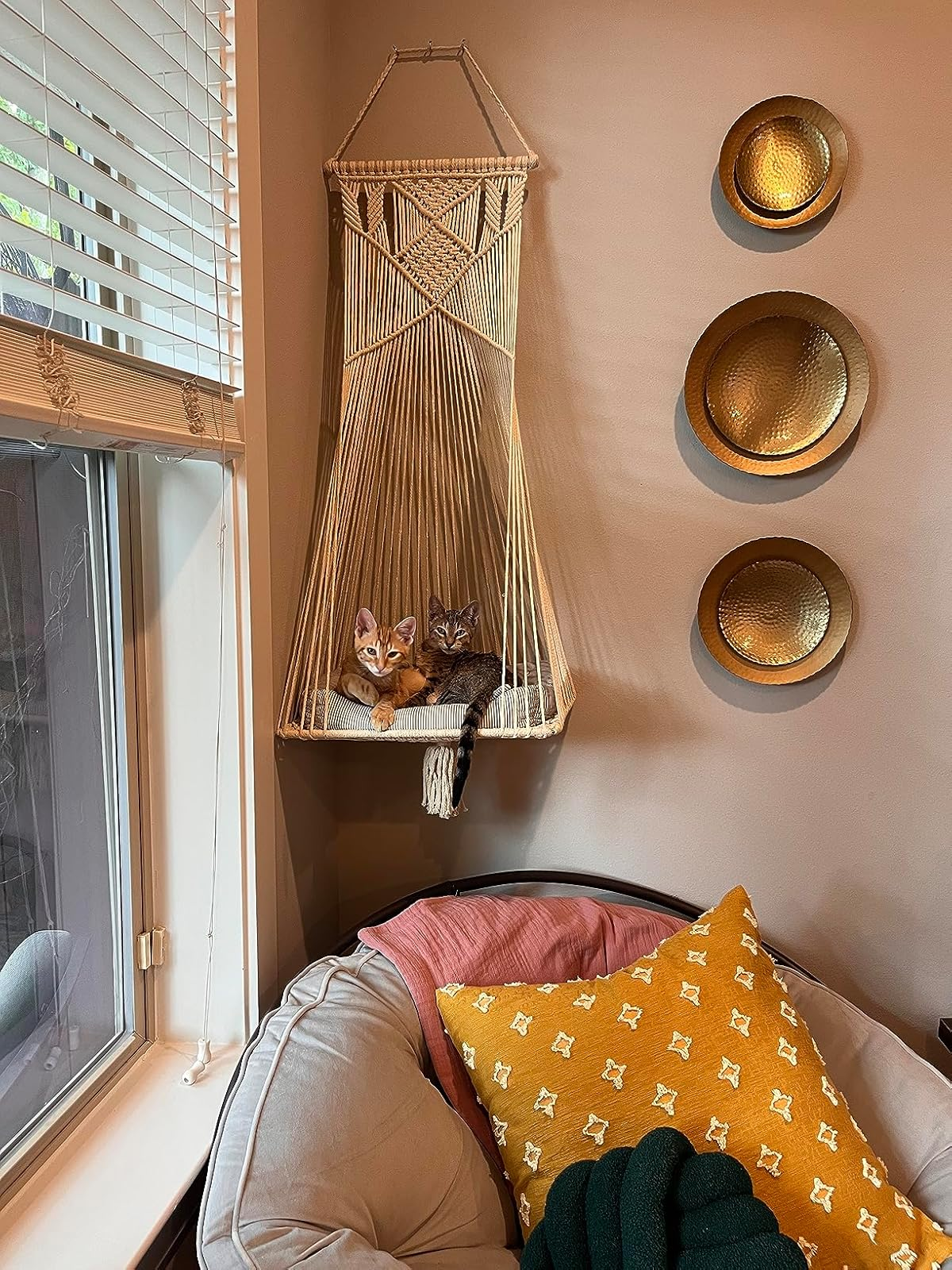 Two cats unbend  successful  a hanging macrame hammock by a window, adjacent  to partition  decor plates