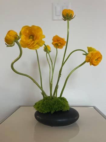 Yellow flowers with agelong  stems successful  a minimalist achromatic  vase connected  a table, creating a modern   and elegant decor piece