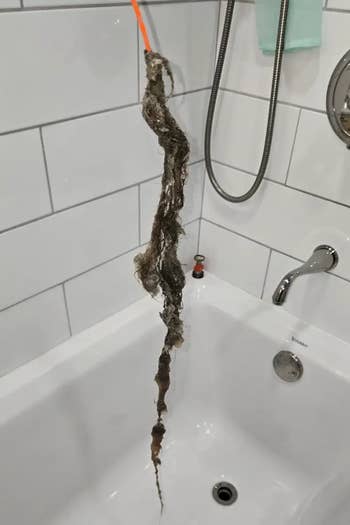 A drain snake pulling retired  tangled hairsbreadth  and debris from a achromatic  bathtub drain