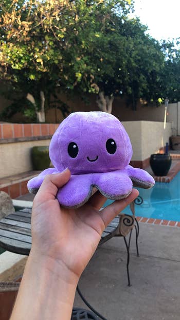 reviewer holding happy octopus plushy