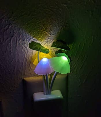 reviewer's mushroom nightlight lit up in the dark