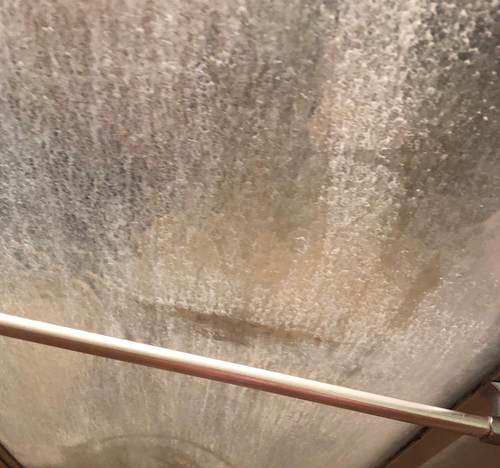 reviewer's dirty glass shower door