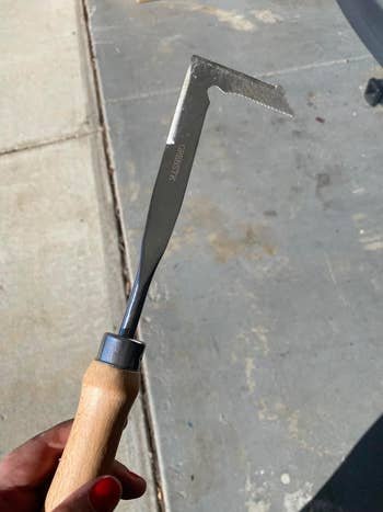 Person holding a ace weeding instrumentality with a woody grip