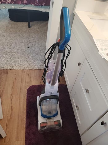 Reviewer photo of the cleaner