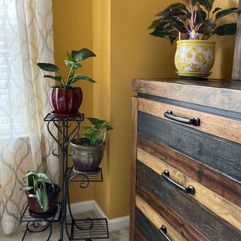 reviewer photo of plant stand in a bedroom