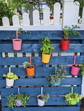 reviewer photo of the colorful pots hanging on a panel of blue slats