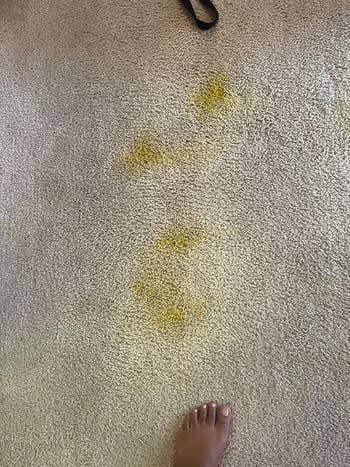 reviewer's carpet with yellow ink throughout
