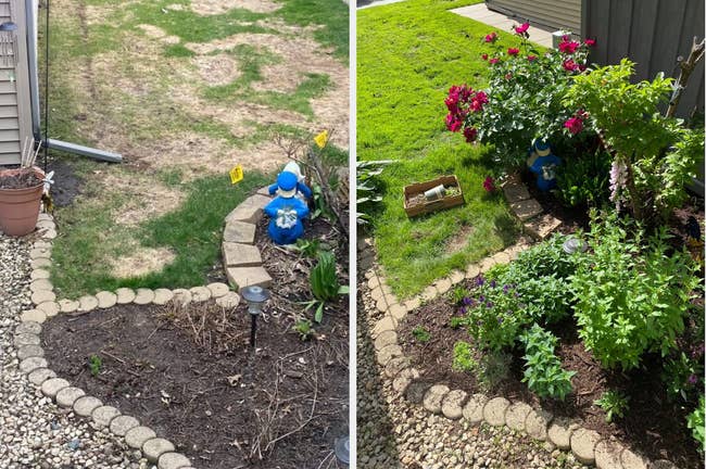 Two images show the transformation of a small garden space from bare soil to lush plants with flowers and greenery, enhanced by decorative garden edging