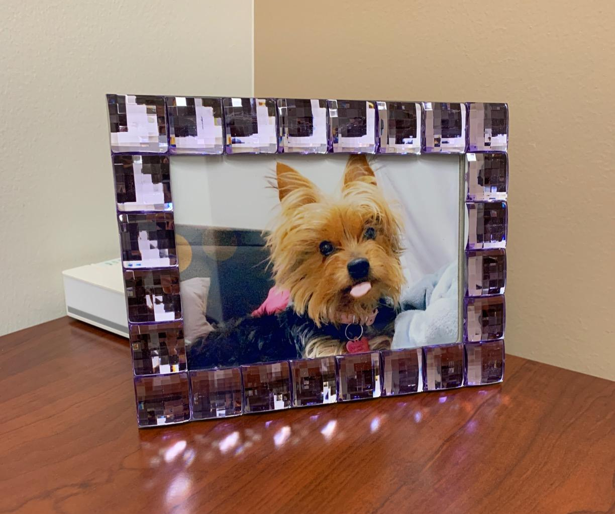 a purple jewel surrounded picture frame with a dog in it