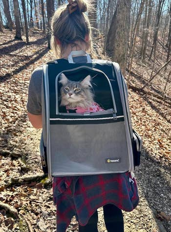 Person with a backpack-style pet carrier standing on woodland trail; a cat with a pink bow looks out from the carrier