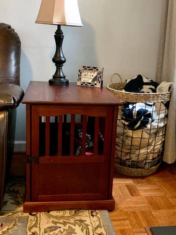 a reviewer's small dog inside the wooden crate/end table