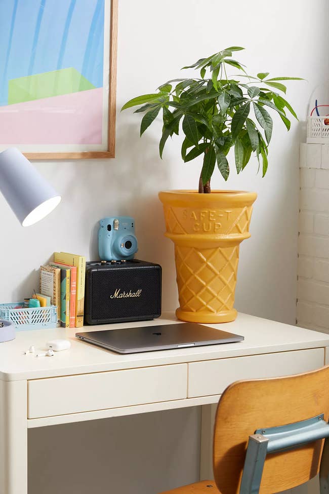 Desk with a potted plant in an ice cream cone-shaped planter, retro camera, Marshall speaker, books, and a closed laptop. Cozy home office setup