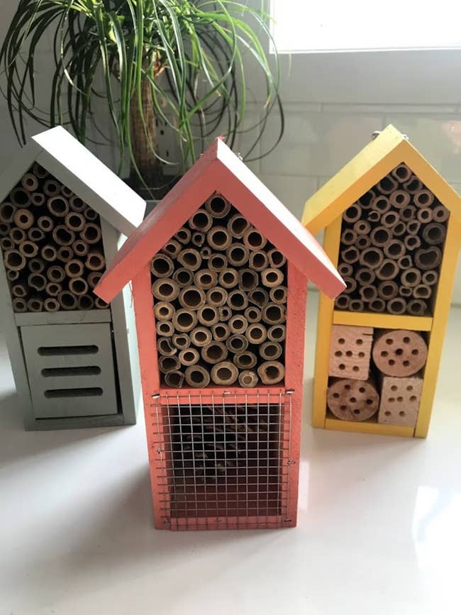 three pollinator boxes
