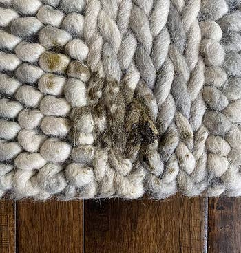 A reviewer's wool rug with puppy diarrhea on it