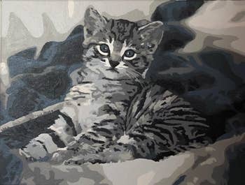 the painted version of the gray and white kitten