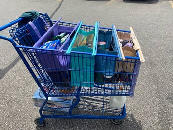 Four of the trolly bags in a cart filled with groceries 