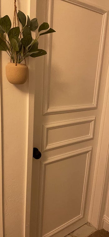 door with rectangular faux molding