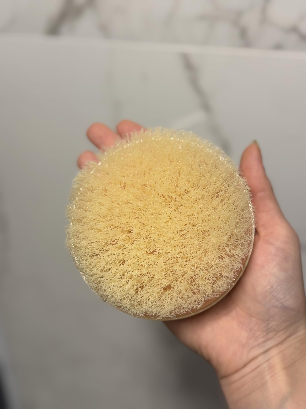 the brush