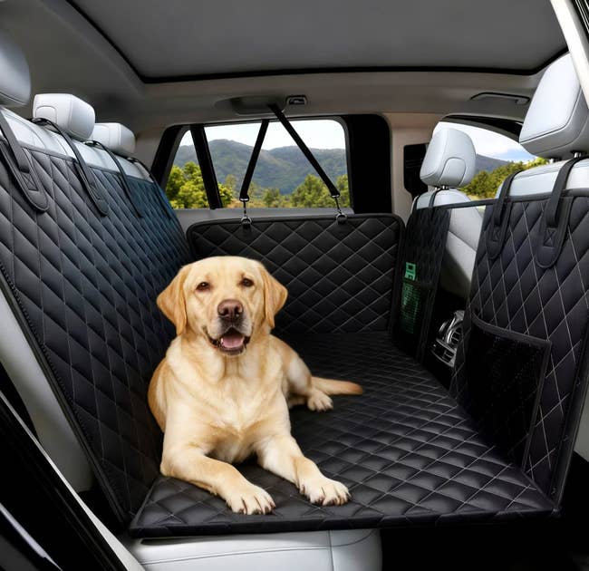 Dog lounging on a quilted seat cover in a car, showcasing pet-friendly accessories for vehicle interiors