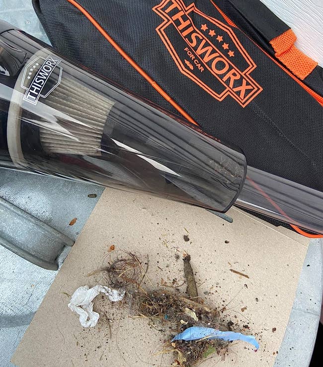 reviewer's vacuum cleaner emptied out with dust, dirt, and hair next to it