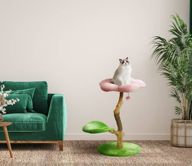 cat sitting on a flower perch with a second spot for sitting shaped like a leaf
