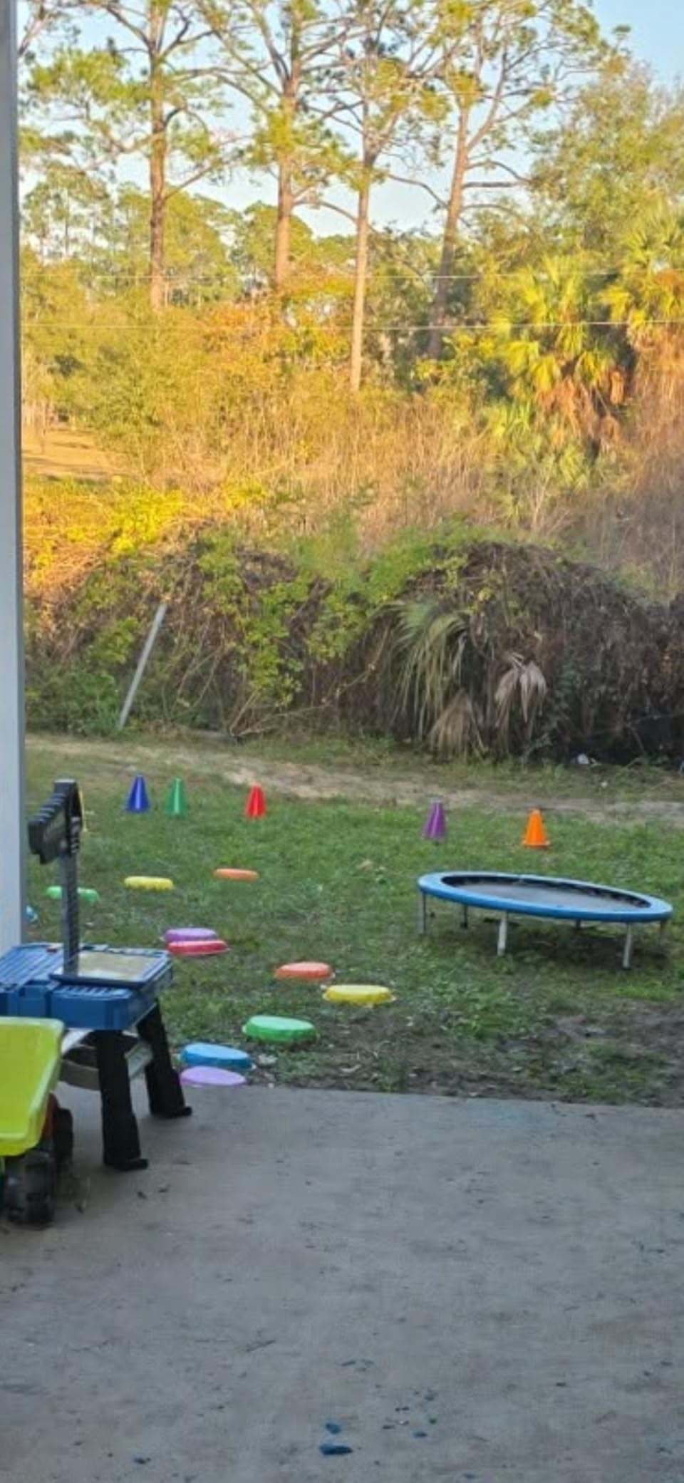 Backyard setup for kids with stepping stones, a tiny  trampoline, and postulation   cones surrounded by trees