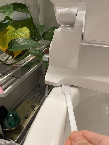 a reviewer using the small white brush to clean under the lip of their toilet seat