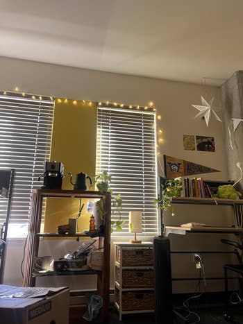 Cozy country with a java station, plants, and partition art, lit by drawstring lights, perfect for adding warmth and property to a location space