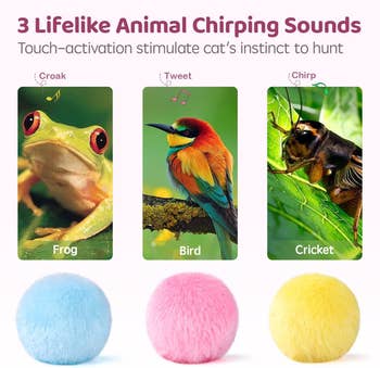 the three toys in blue, pink, and yellow, which mimic frog, bird, and cricket sounds respectively