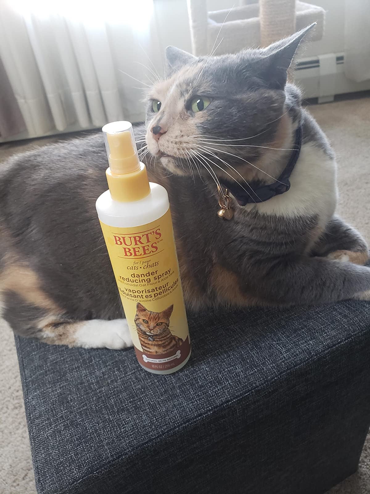 34 Summer Products You'll Wonder How You Ever Lived Without