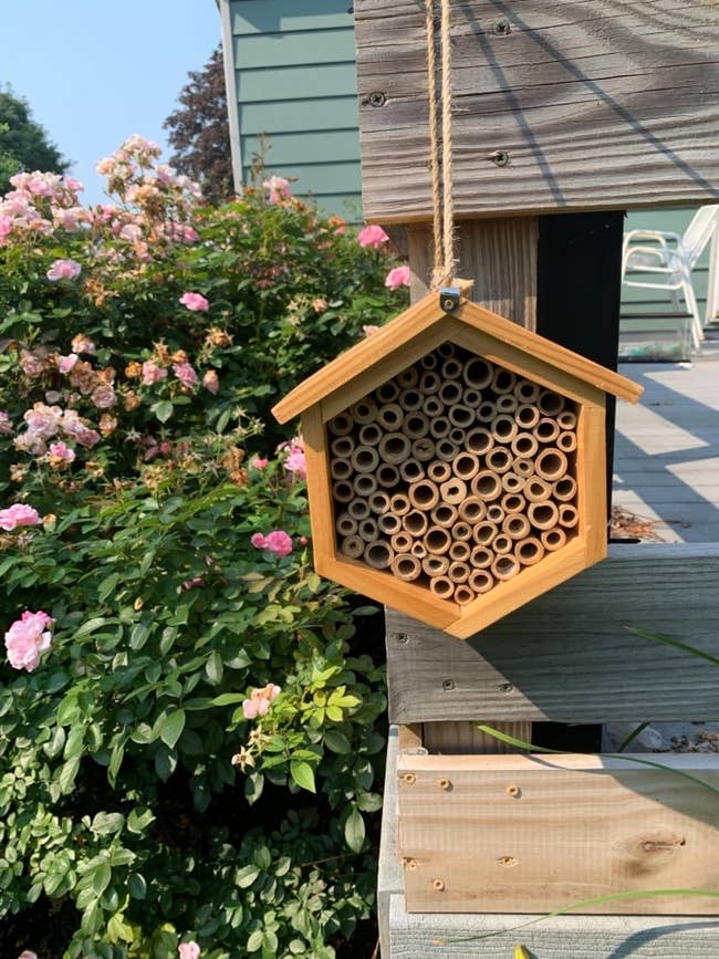 Hexagon-shaped wooden bee house hanging from a post with flowering shrubs in the background