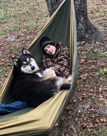 reviewer in the hammock with their husky 