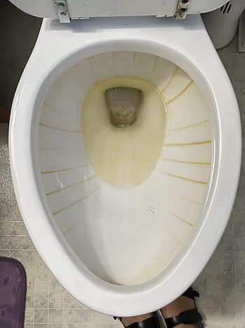 the inside of a reviewer's toilet looking dirty