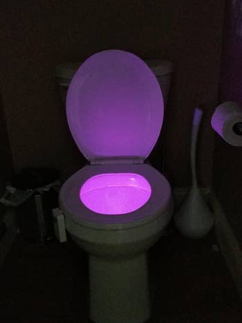 reviewer's toilet bowl lit up purple