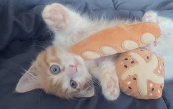 kitten playing with baguette and roll toys