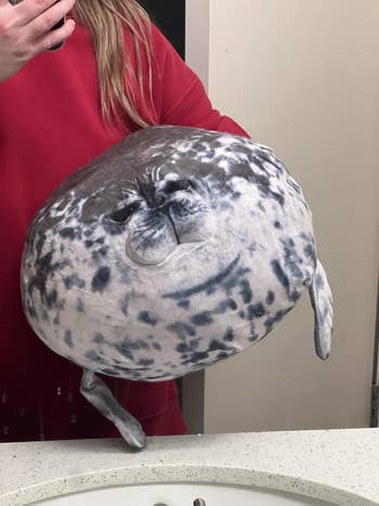 Person holding a circular  seal plush artifact  successful  beforehand   of a mirror