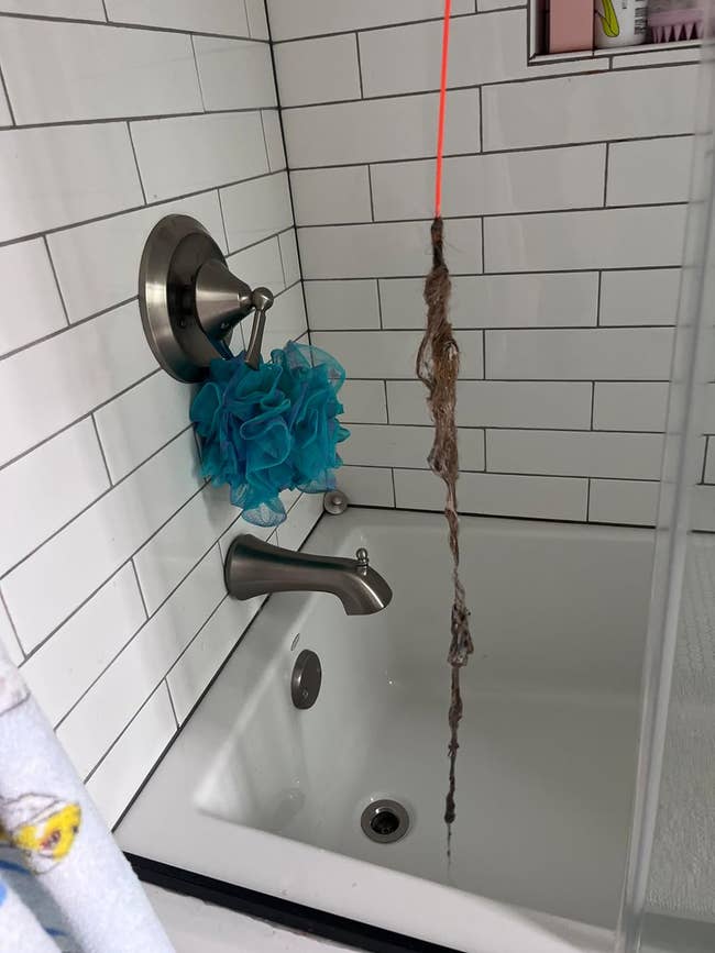 reviewer's photo of orange drain snake that lifted large clumps of hair from shower drain