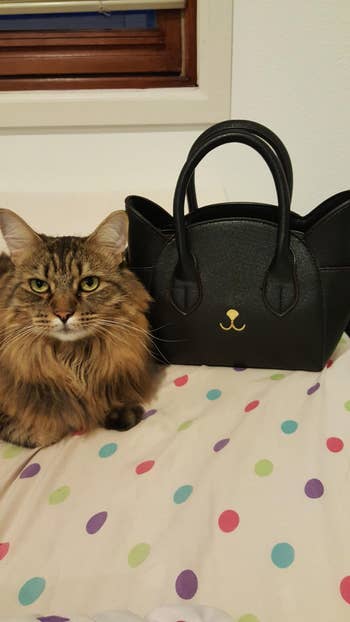 Cat sits on a polka dot bedspread next to a black handbag with cat ears and a cat face design
