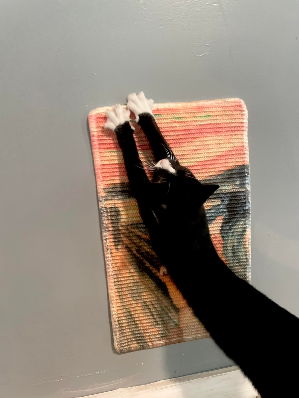 Cat stretching upward connected  a striped scratching pad mounted connected  a wall