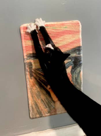 Cat stretching upward connected a striped scratching pad mounted connected a wall