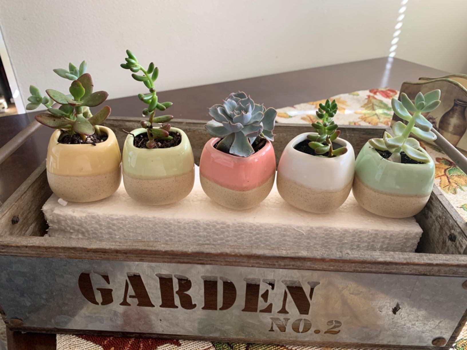 The 25 Cutest Pots And Planters For All Of That Gardening You're Doing