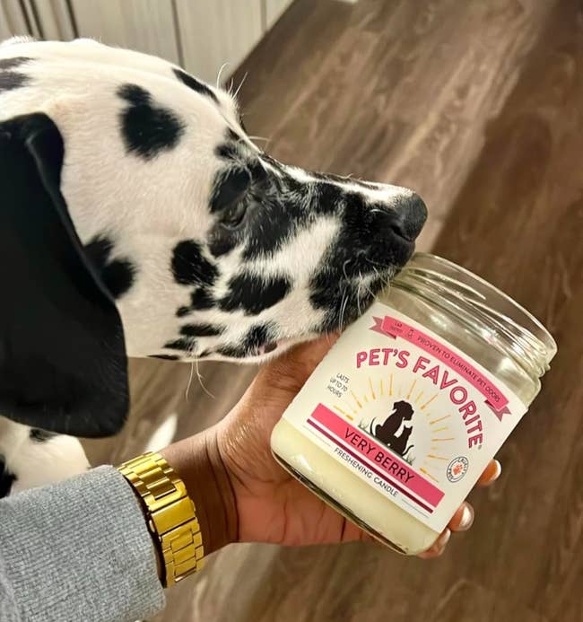 a reviewer holding the berry scented candle next to their dalmation