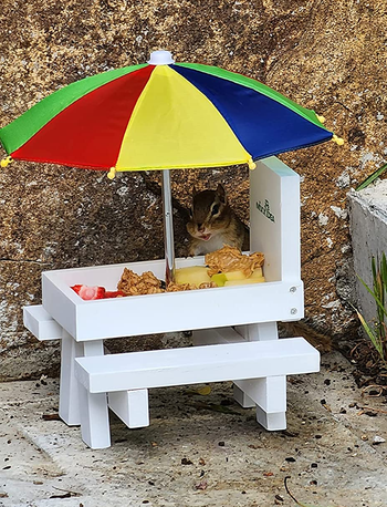 a reviewer photo of the table sitting on a sidewalk and a chipmunk eating at it 