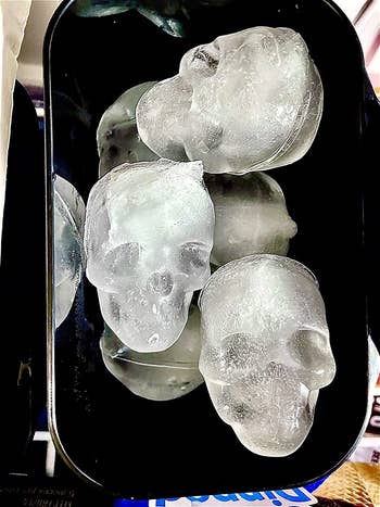 reviewer's skull ice cubes
