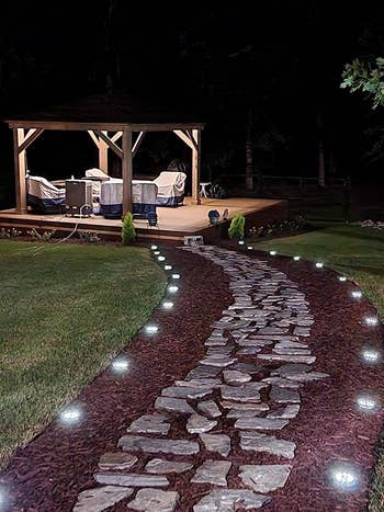 reviewer's pathway lined with ground lights