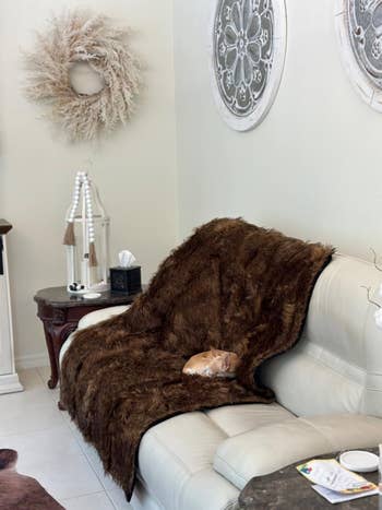 Room with beige couch, fluffy brownish  propulsion  blanket, tiny  canine  napping connected  it, decorative partition  accents, and furnishings  with magazines and decor items