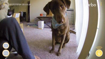 Reviewer screenshot showing image of dog staring at Furbo camera