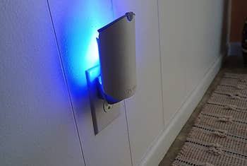 reviewer photo of the trap plugged into an outlet emitting a blue light