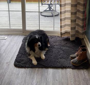 Reviewer's dog sits on a mat by a glass door with a view of a yard and a chair outside; a pair of boots is to the right